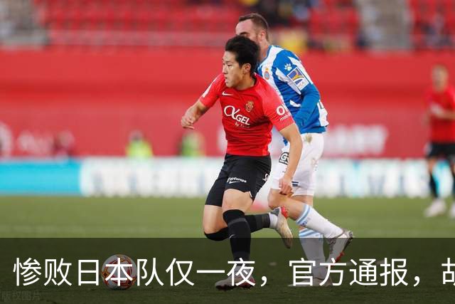 惨败日本队仅一夜，官方通报，胡明轩承认出问题，郭士强2次冲上热搜